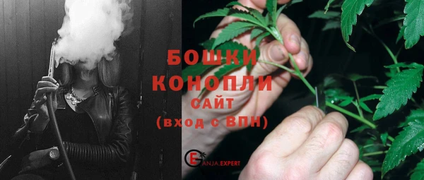 ПСИЛОЦИБИНОВЫЕ ГРИБЫ Бородино