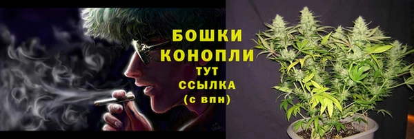 ПСИЛОЦИБИНОВЫЕ ГРИБЫ Бородино