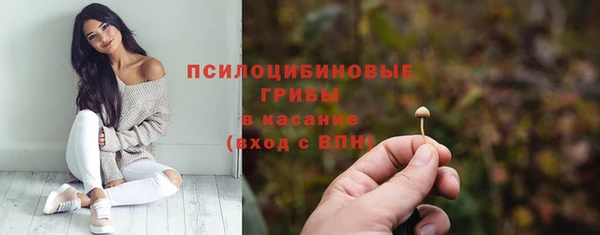 ПСИЛОЦИБИНОВЫЕ ГРИБЫ Бородино