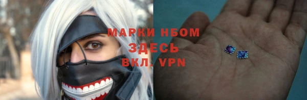 ПСИЛОЦИБИНОВЫЕ ГРИБЫ Бородино
