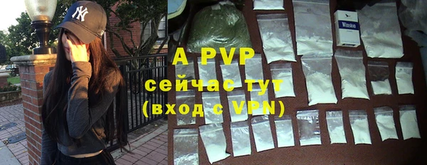 ПСИЛОЦИБИНОВЫЕ ГРИБЫ Бородино