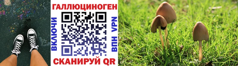 кракен ССЫЛКА  Нерехта  Галлюциногенные грибы MAGIC MUSHROOMS 